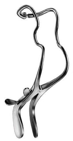 Oral Instruments